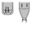 Quick Discharge/ Conical base